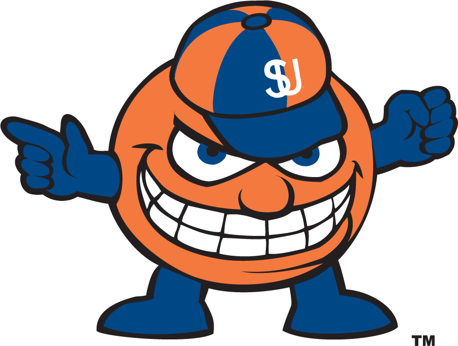 Syracuse Orange 2001-2004 Mascot Logo DIY iron on transfer (heat transfer)